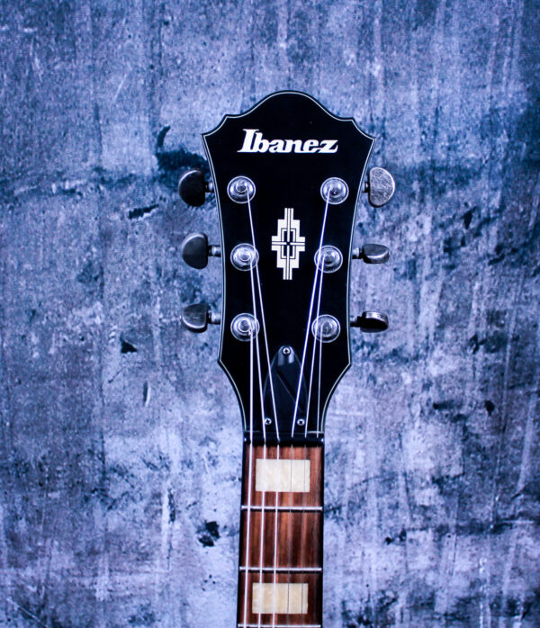 Ibanez Artcore ASV 10H TCL, Semi Hollow, Aged Sunburst - Image 5